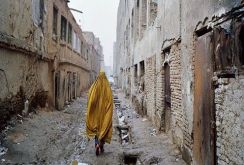 cfc7febf344a3887973087f4842a49d0